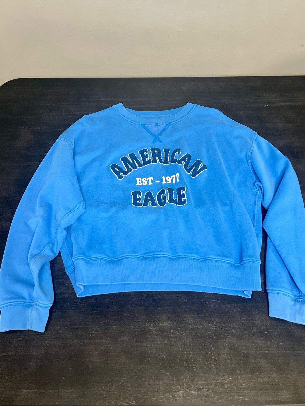 American Eagle Sweatshirt Blue Boxy Cropped Varsity Graphic Pullover Size XS